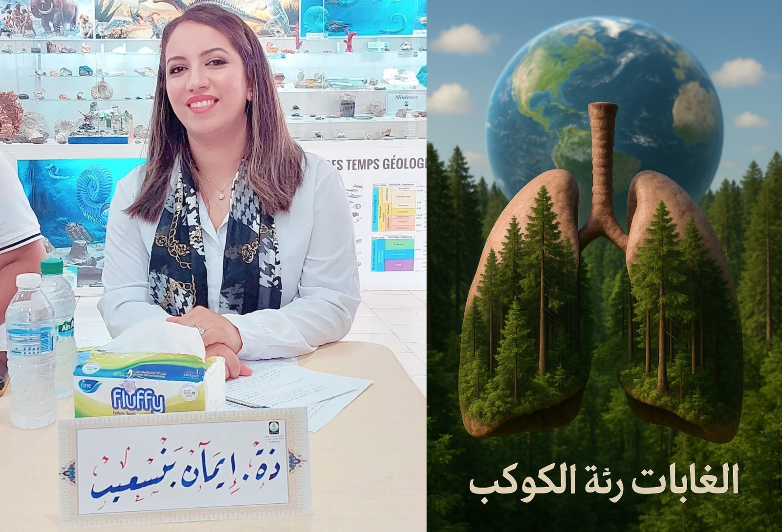 الغابات ورهانات المناخ العالمي.. تعثر الاتفاقية الدولية للغابات (1/8)