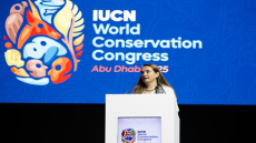 جريثيل أغيلار، المديرة العامة للاتحاد الدولي لحفظ الطبيعة- عن المعهد الدولي للتنمية المستدامة)