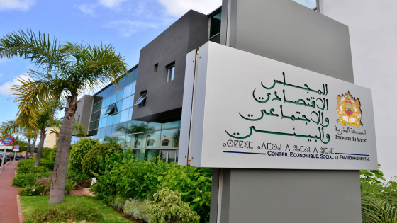 CESE يدعو إلى استراتيجية وطنية عاجلة للبحث العلمي والابتكار