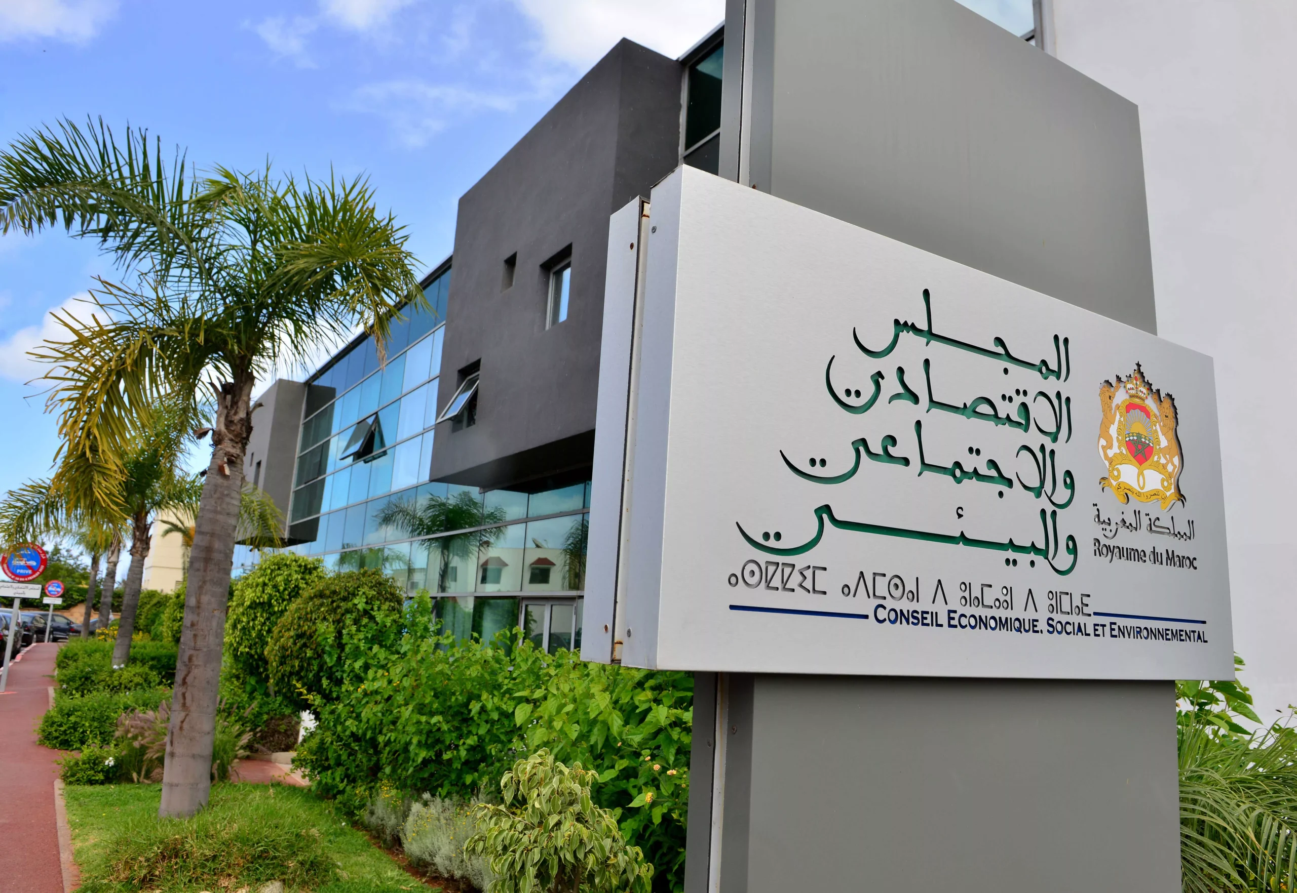 CESE يدعو إلى استراتيجية وطنية عاجلة للبحث العلمي والابتكار