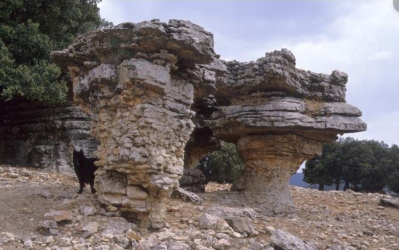 جيو بارك البراكين .. تعزيز التراث الفريد من أجل تنمية مستدامة في إفران