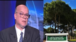 ما هي النتائج المنتظرة إذا اختفت غابات طنجة الحضرية ؟