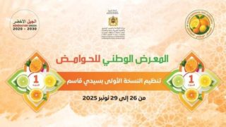 سيدي قاسم يحتضن أول معرض وطني للحوامض