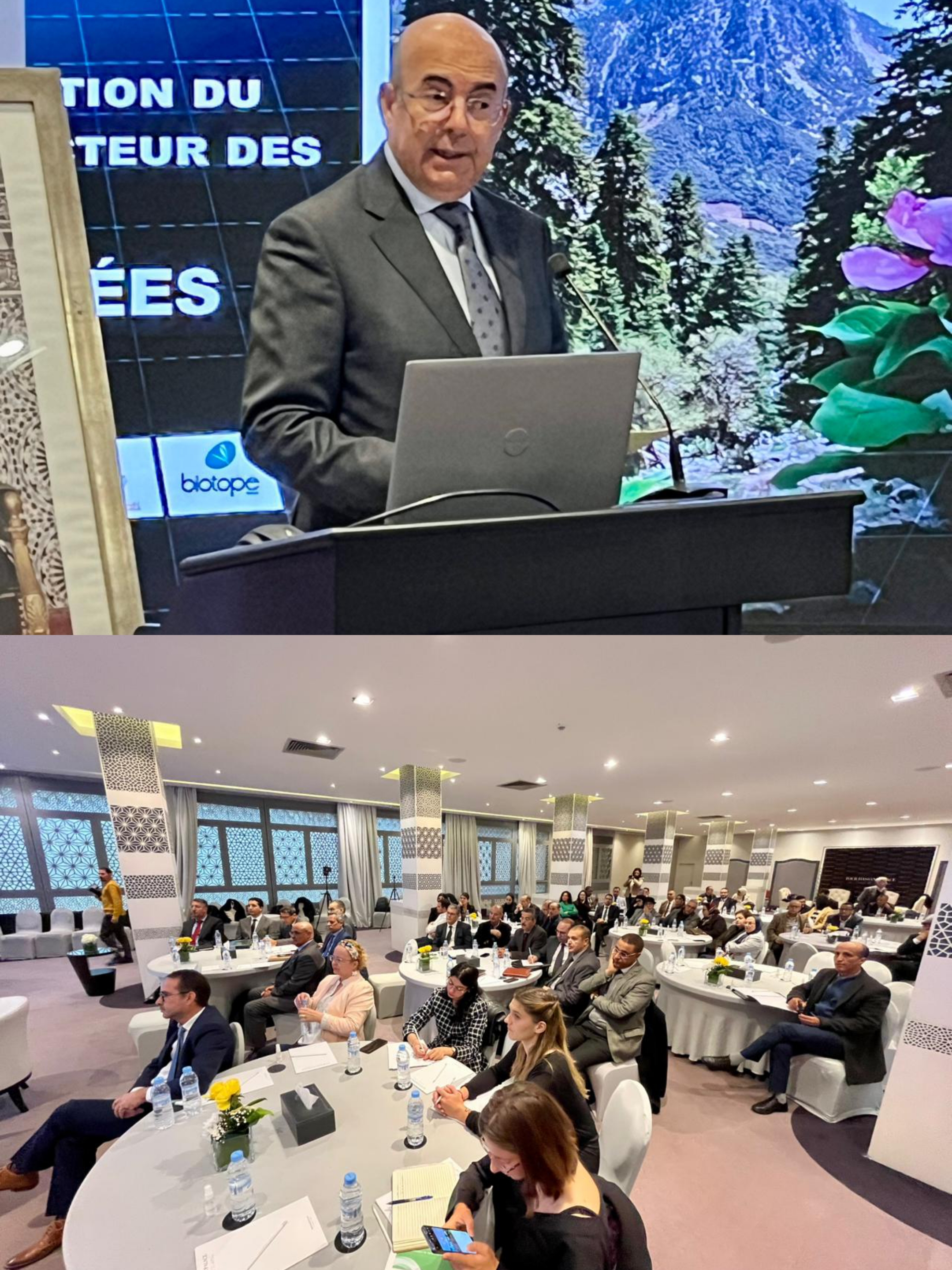 المغرب يعزز حماية تنوعه البيولوجي ويستعد لإحداث منتزه وطني جديد بجهة الداخلة