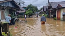 فيضانات آسيا 2025.. مأساة تتسع وحصيلة تتجاوز 1500 قتيل