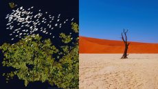 أزمة الطبيعة.. أزمتنا جميعا