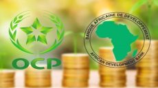 البنك الإفريقي للتنمية يفعّل لأول مرة بالمغرب ضمانة خضراء بـ450 مليون أورو لدعم استثمارات OCP