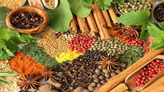 منظمة الصحة العالمية: الطب التقليدي واقع عالمي