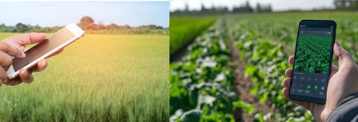 “سْمَارْت مْلَانْسِم”.. درس من البرازيل في تدبير الفلاحة في زمن الندرة