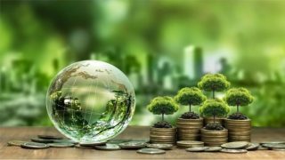 كيف يعيد التحول الأخضر تشكيل مناخ الأعمال في المغرب؟