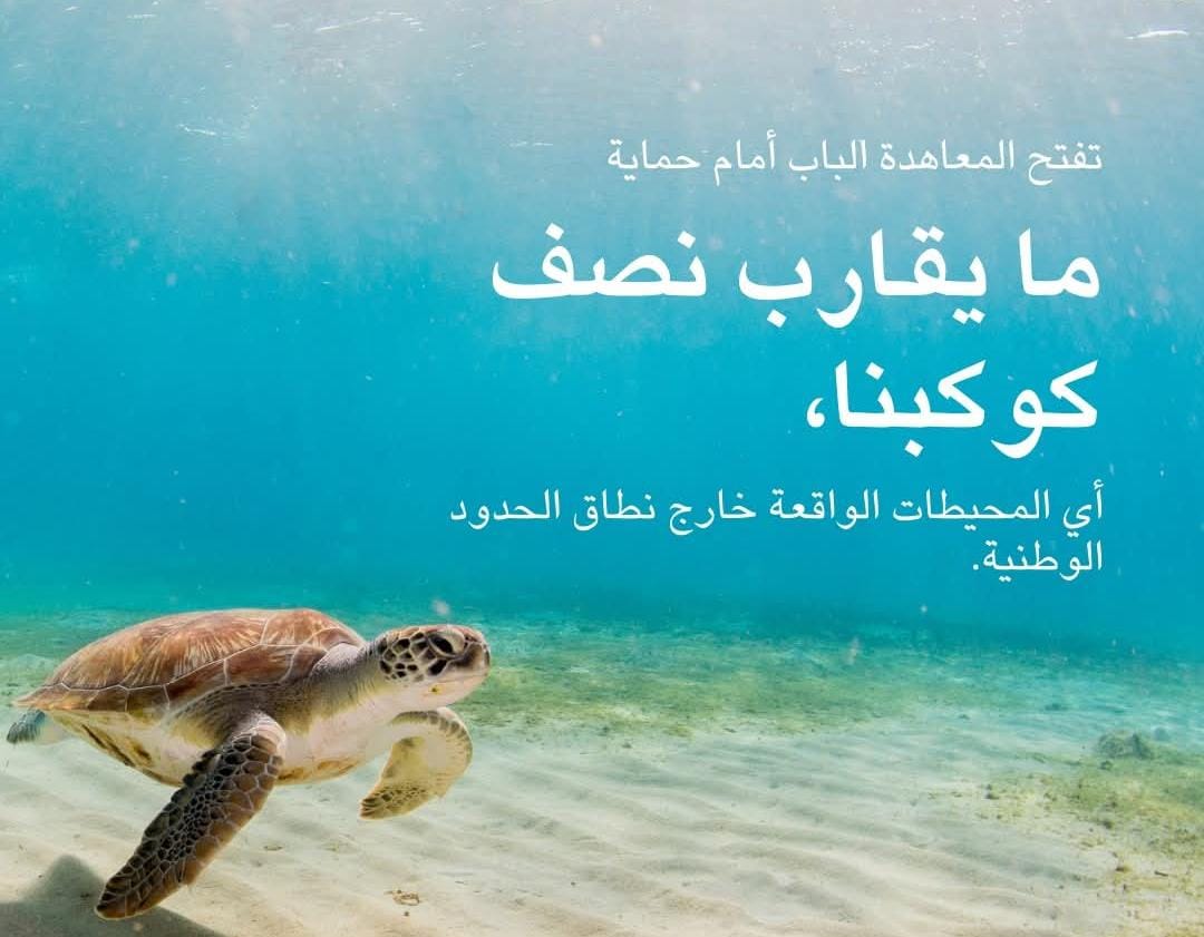 اتفاق BBNJ ركيزة أساسية لحماية البيئة البحرية وضمان استدامتها