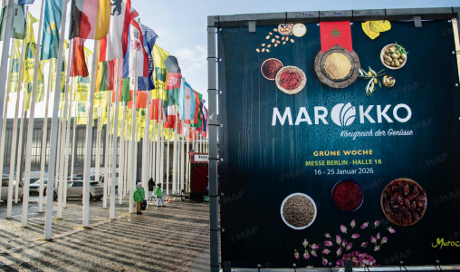 الأسبوع الأخضر ببرلين 2026 يضع المشاركة المغربية أمام اختبار السوق الدولية