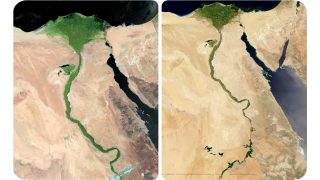 مصر.. دلتا النيل في مواجهة الغرق البطيء