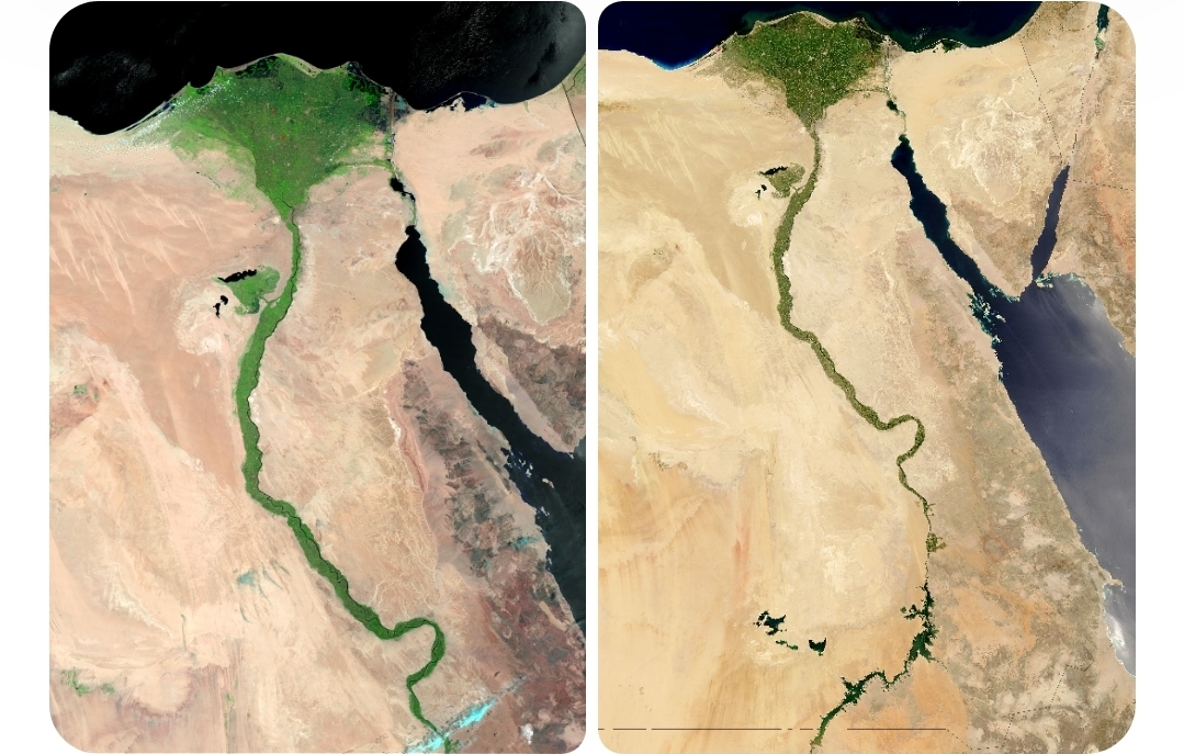 مصر.. دلتا النيل في مواجهة الغرق البطيء
