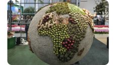 الأسبوع الأخضر ببرلين تحت مجهر الانتقادات: ما الذي لم يقله المعرض؟