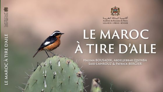 أكاديمية المملكة المغربية تصدر كتابا جديدا بعنوان “المغرب في رفة جناح”