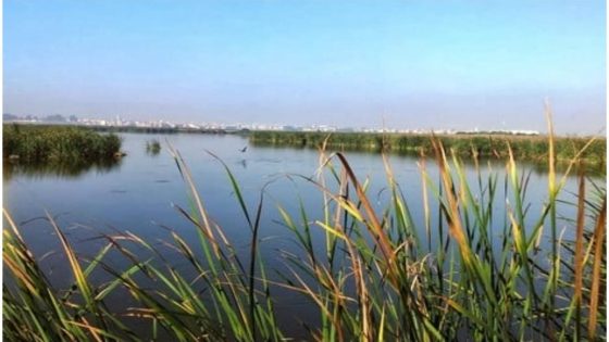 اليوم العالمي للمناطق الرطبة 2026.. حين تلتقي حماية الطبيعة بالمعرفة التقليدية