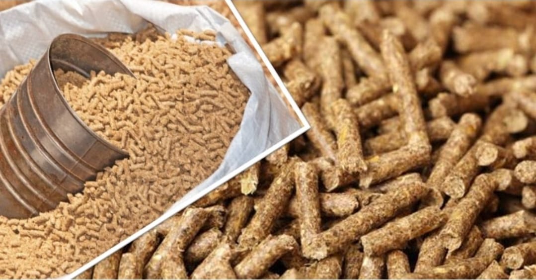 أزمة الأعلاف المركبة تربك ضيعات الدواجن وتثقل كاهل المربين الصغار