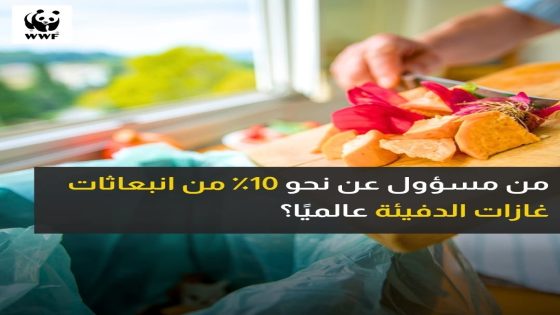 من المسؤول عن 10٪ من انبعاثات الغازات الدفيئة عالميا ؟