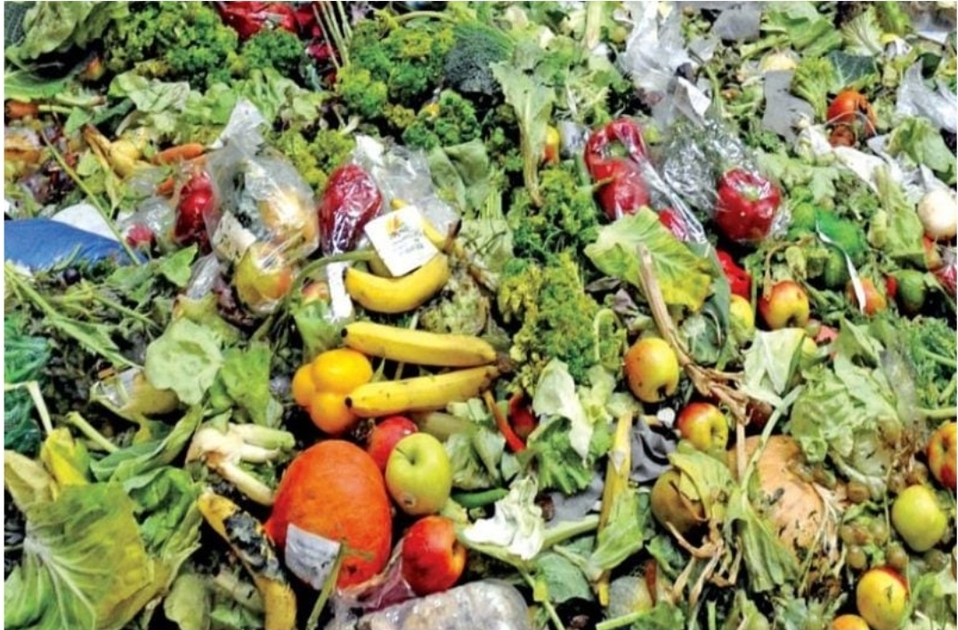 سلسلة هدر الطعام.. مأساة معلنة وواجب وطني (1/6)