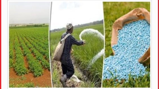 المغرب يهيمن على صادرات الأسمدة إلى الاتحاد الأوروبي في ظل تحولات السوق العالمية