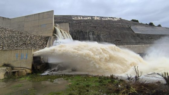 تفريغ السدود