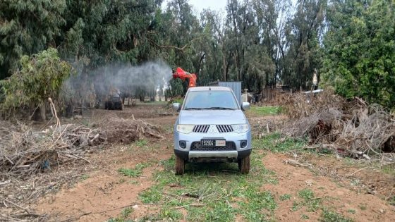 السعيدية تطلق خطة استباقية لمكافحة البعوض بميزانية تناهز نصف مليار سنتيم