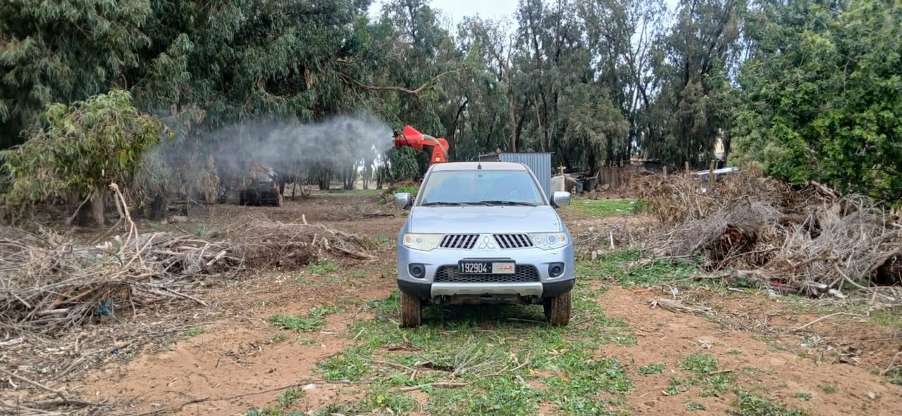 السعيدية تطلق خطة استباقية لمكافحة البعوض بميزانية تناهز نصف مليار سنتيم