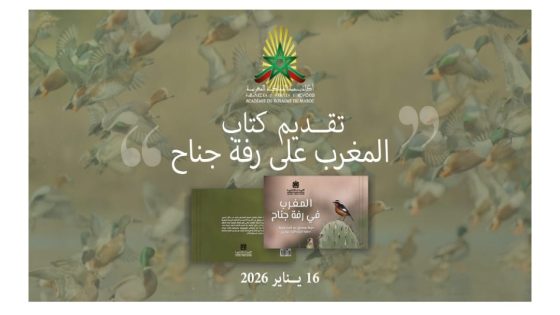 أكاديمية المملكة تصدر “المغرب في رفة جناح”.. الطيور بوابة لاكتشاف التنوع البيئي الوطني