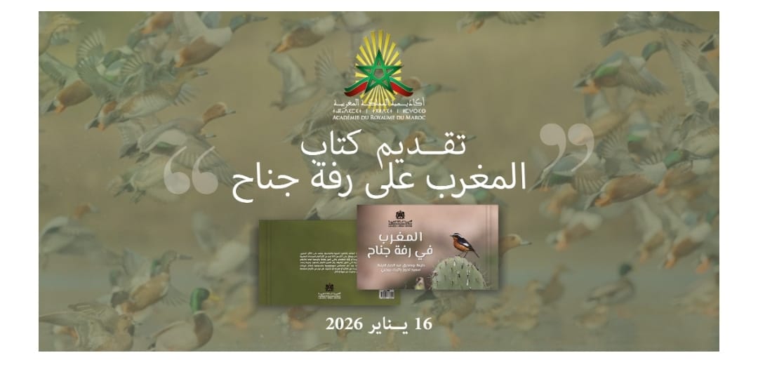 أكاديمية المملكة تصدر “المغرب في رفة جناح”.. الطيور بوابة لاكتشاف التنوع البيئي الوطني