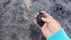 شاطئ “الوطية” بطانطان تحت الحصار: مؤسسة “المغرب الأزرق” تدق ناقوس الخطر وتدعو لتدخل استعجالي