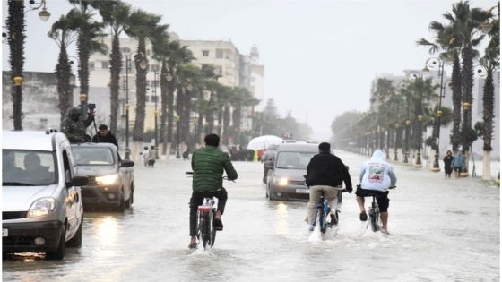 المديرية العامة للأرصاد الجوية: شتاء 2025-2026 موسم استثنائي أعاد تشكيل المشهد الهيدرولوجي للمملكة