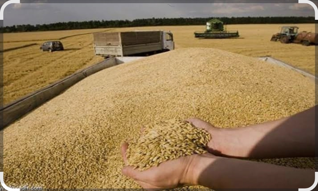 بنك المغرب يرسم ملامح انتعاش اقتصادي تقوده الفلاحة