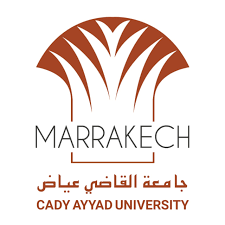 جامعة القاضي عياض تحصد اعترافا أوروبيا في مؤتمر الطب الإشعاعي بفيينا