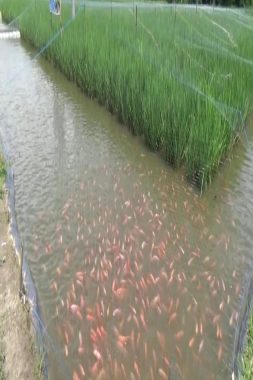 افتتاح موسم الصيد بالمياه البرية.. دعوة لممارسة مسؤولة وحماية للثروة السمكية