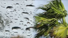 حالة الطقس.. أجواء متقلبة وطقس غير مستقر