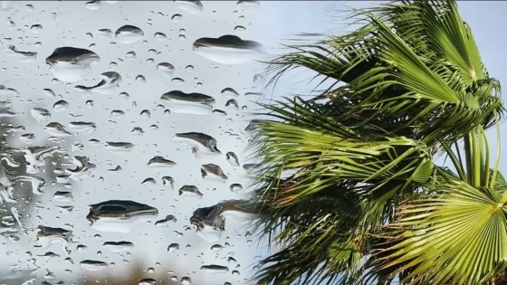 حالة الطقس.. أجواء متقلبة وطقس غير مستقر