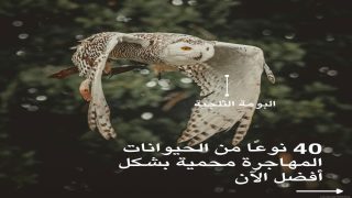 اتفاقية CMS تعزز حماية الأنواع المهاجرة في خطوة عالمية لحماية التنوع البيولوجي