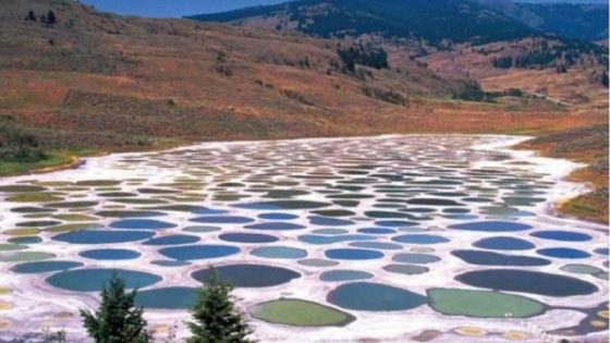 حين تتحول الأرض إلى لوحة.. البحيرة التي ترسم نفسها