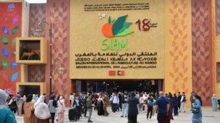 سيام.. إقبال قياسي على ملتقى الفلاحة بمكناس يؤكد مكانته كأكبر تظاهرة فلاحية بالمغرب