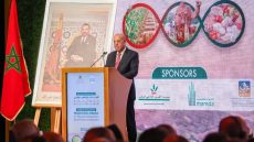 سيام ..توقعات بإنتاج 90 مليون قنطار من الحبوب بالمغرب خلال الموسم الفلاحي الحالي