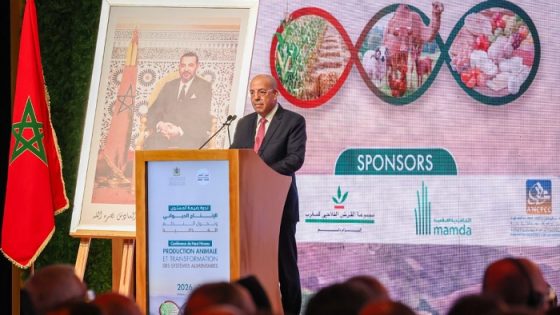 سيام ..توقعات بإنتاج 90 مليون قنطار من الحبوب بالمغرب خلال الموسم الفلاحي الحالي