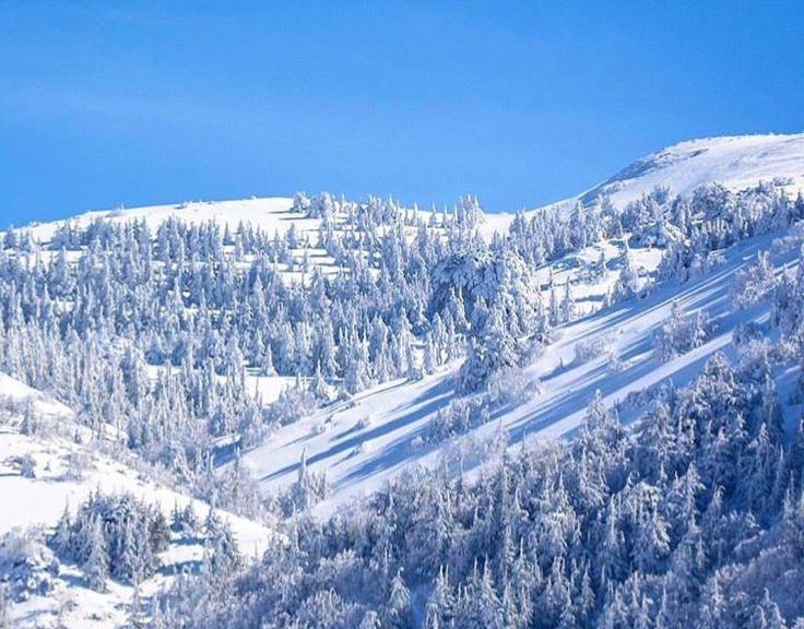 لماذا تشهد مرتفعات المغرب تساقطات ثلجية رغم أننا في منتصف ماي ؟
