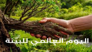 اليوم العالمي للبيئة 2026.. دعوة عالمية للعمل المناخي