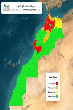 الوكالة الوطنية للمياه والغابات تحذر من حرائق الغابات بعدد من مناطق المملكة