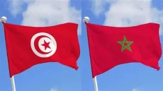 نمو استثنائي .. واردات المغرب من المنتجات الكيميائية التركية تقفز إلى إلى 43,5 مليون دولار