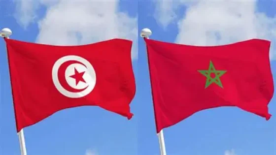 نمو استثنائي .. واردات المغرب من المنتجات الكيميائية التركية تقفز إلى إلى 43,5 مليون دولار