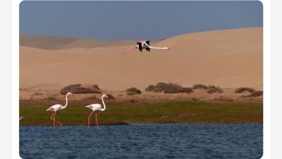 التنوع البيولوجي: ثروة المغرب الصامتة 