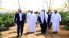 مجموعة “إيليت أغرو” الإماراتية تدشن مزرعتها السابعة لإنتاج الفواكه الحمراء بالمغرب