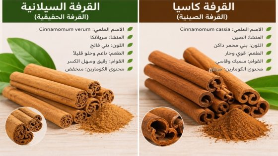 القرفة: كنز طبيعي أم فوائد مبالغ فيها؟